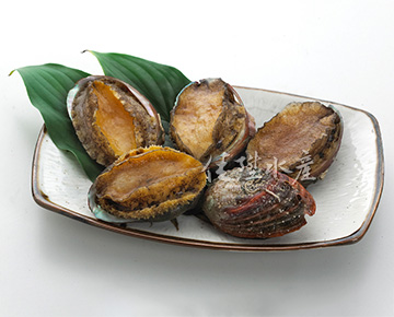 Chinese Abalone